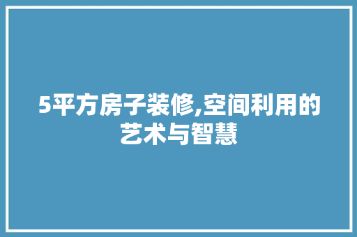 5平方房子装修,空间利用的艺术与智慧 客厅装修