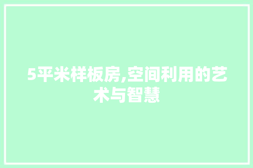 5平米样板房,空间利用的艺术与智慧 地板材料