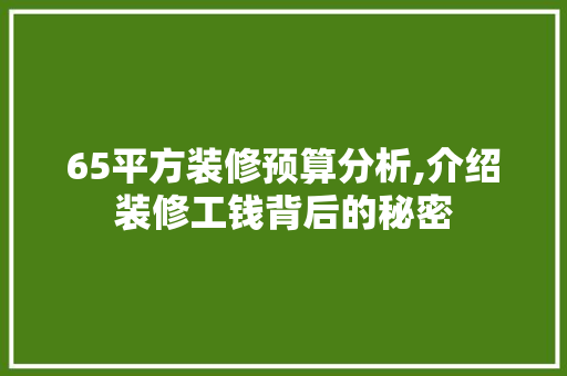 65平方装修预算分析,介绍装修工钱背后的秘密 卧室装修