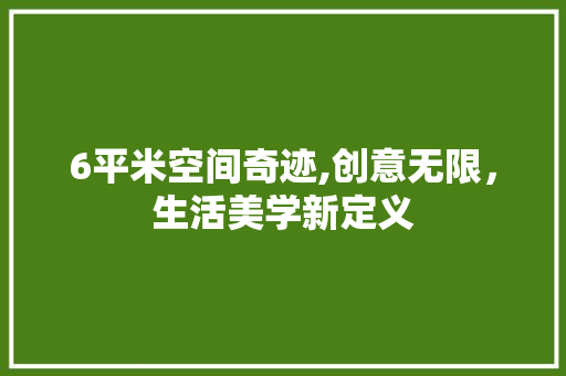 6平米空间奇迹,创意无限，生活美学新定义 室内设计