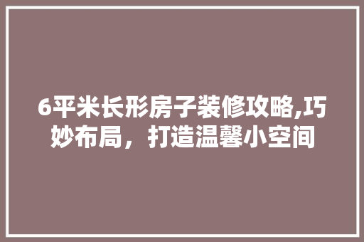6平米长形房子装修攻略,巧妙布局，打造温馨小空间 软装设计