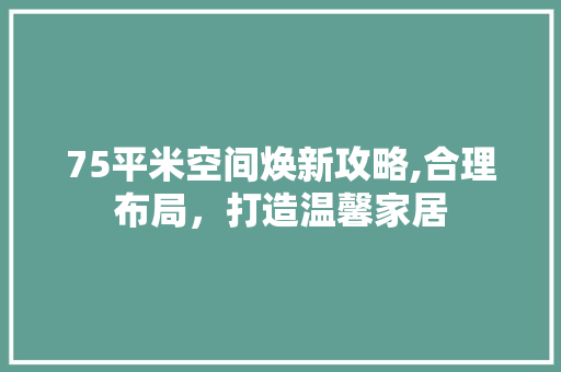 75平米空间焕新攻略,合理布局，打造温馨家居 软装设计