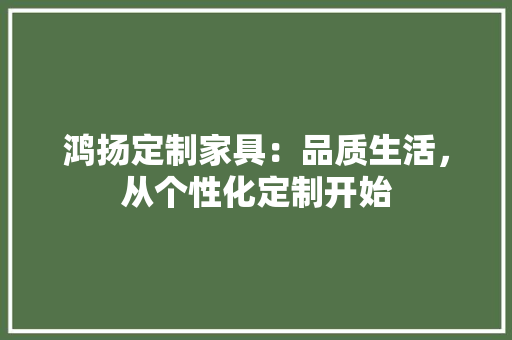 鸿扬定制家具：品质生活，从个性化定制开始 室内设计