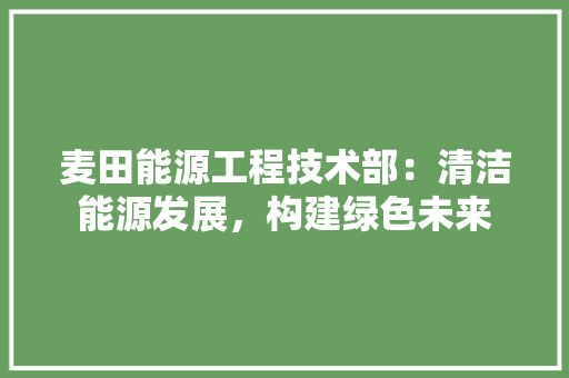 麦田能源工程技术部：清洁能源发展，构建绿色未来