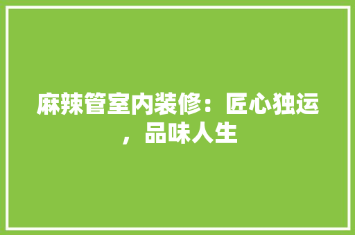 麻辣管室内装修：匠心独运，品味人生 室内设计