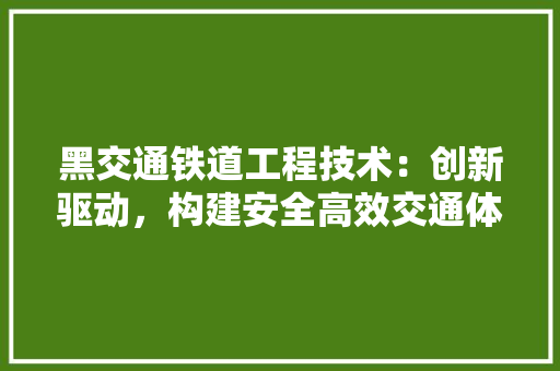 黑交通铁道工程技术：创新驱动，构建安全高效交通体系