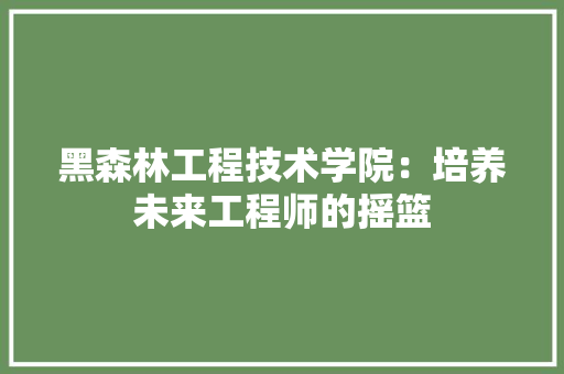 黑森林工程技术学院：培养未来工程师的摇篮