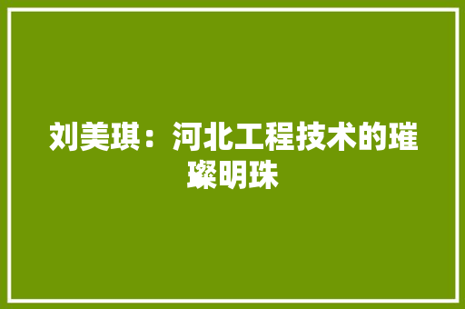 刘美琪：河北工程技术的璀璨明珠