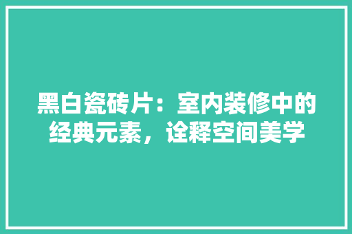 黑白瓷砖片：室内装修中的经典元素，诠释空间美学 室内设计