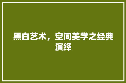 黑白艺术，空间美学之经典演绎 室内设计