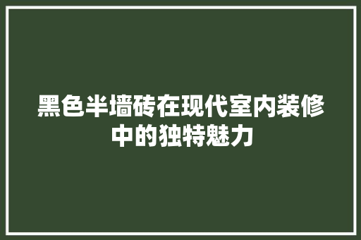 黑色半墙砖在现代室内装修中的独特魅力 室内设计
