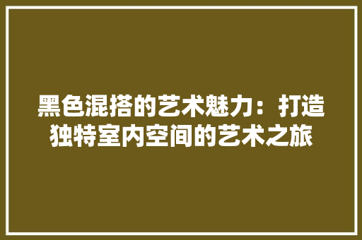 黑色混搭的艺术魅力：打造独特室内空间的艺术之旅 室内设计