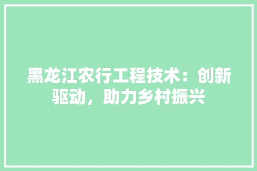 黑龙江农行工程技术：创新驱动，助力乡村振兴