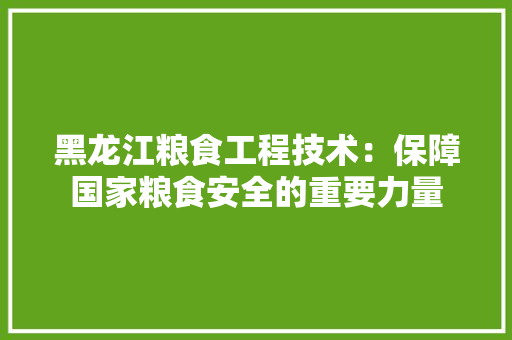黑龙江粮食工程技术：保障国家粮食安全的重要力量 室内设计