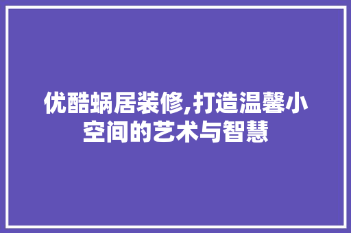 优酷蜗居装修,打造温馨小空间的艺术与智慧