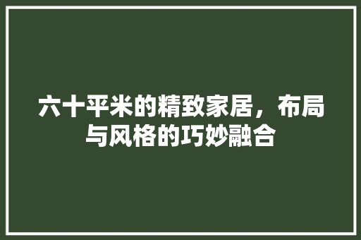 六十平米的精致家居，布局与风格的巧妙融合 中式风格装饰