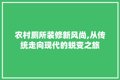 农村厕所装修新风尚,从传统走向现代的蜕变之旅 室内设计