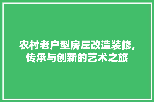 农村老户型房屋改造装修,传承与创新的艺术之旅 家居装修