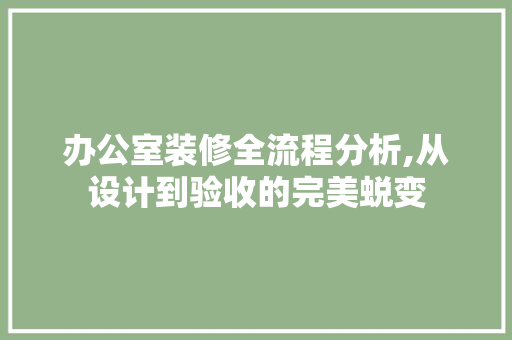 办公室装修全流程分析,从设计到验收的完美蜕变 地板材料