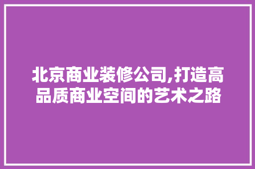 北京商业装修公司,打造高品质商业空间的艺术之路