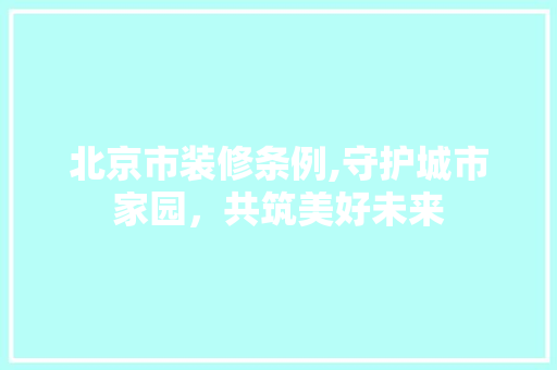 北京市装修条例,守护城市家园，共筑美好未来 中式风格装饰
