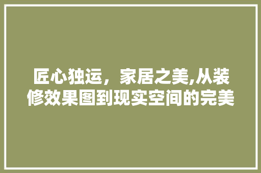 匠心独运，家居之美,从装修效果图到现实空间的完美呈现 家居装修