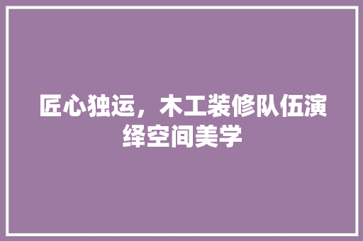 匠心独运，木工装修队伍演绎空间美学 客厅装修