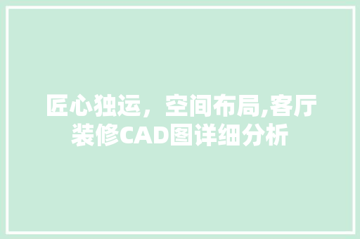 匠心独运，空间布局,客厅装修CAD图详细分析 地板材料
