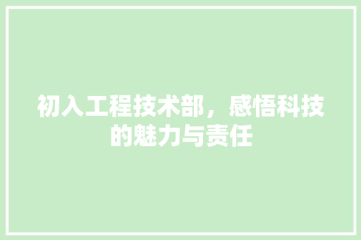 初入工程技术部，感悟科技的魅力与责任 家居装修