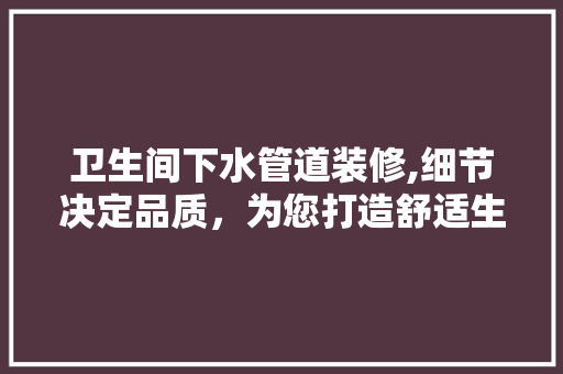 卫生间下水管道装修,细节决定品质，为您打造舒适生活空间 客厅装修