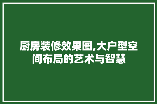 厨房装修效果图,大户型空间布局的艺术与智慧 地板材料