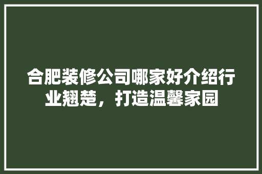 合肥装修公司哪家好介绍行业翘楚，打造温馨家园 家居装修