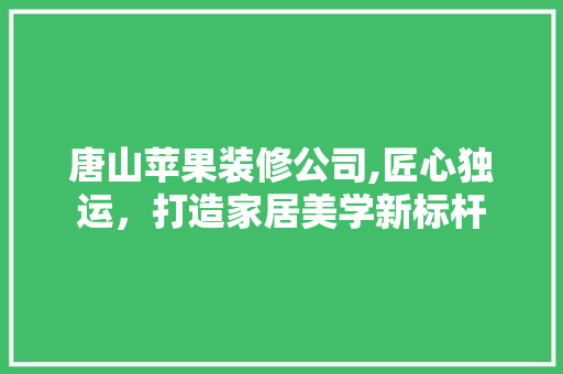 唐山苹果装修公司,匠心独运，打造家居美学新标杆 家居装修