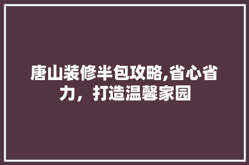 唐山装修半包攻略,省心省力，打造温馨家园 客厅装修