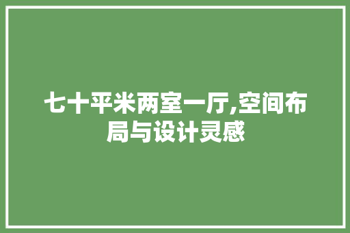 七十平米两室一厅,空间布局与设计灵感 地板材料