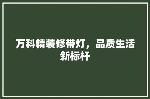 万科精装修带灯，品质生活新标杆 室内设计