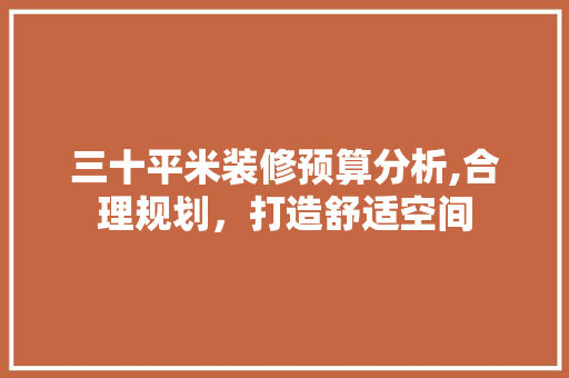 三十平米装修预算分析,合理规划，打造舒适空间 卧室装修