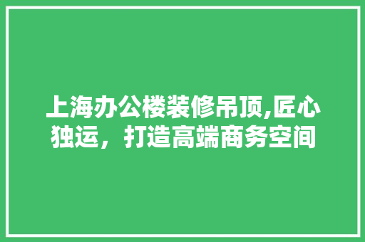 上海办公楼装修吊顶,匠心独运，打造高端商务空间 卧室装修