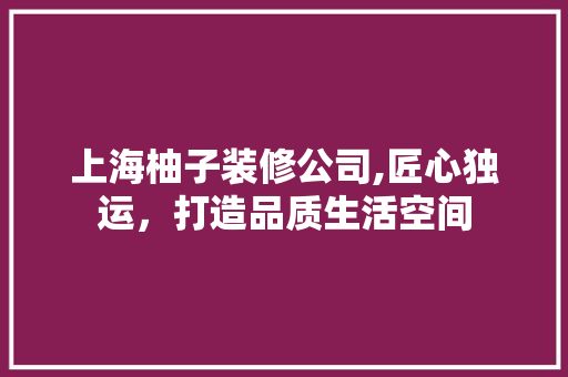 上海柚子装修公司,匠心独运，打造品质生活空间 现代风格装饰