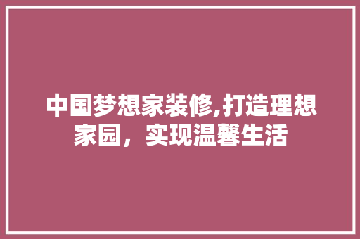 中国梦想家装修,打造理想家园，实现温馨生活 软装设计