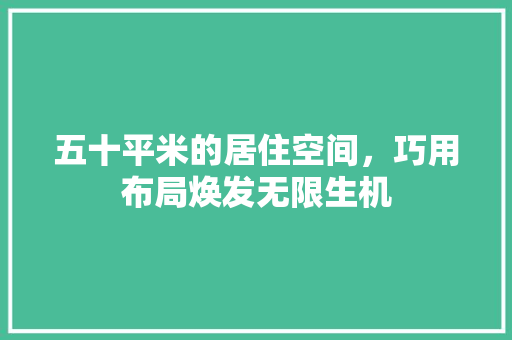 五十平米的居住空间，巧用布局焕发无限生机 木雕艺术