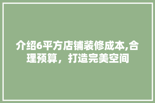 介绍6平方店铺装修成本,合理预算，打造完美空间 现代风格装饰