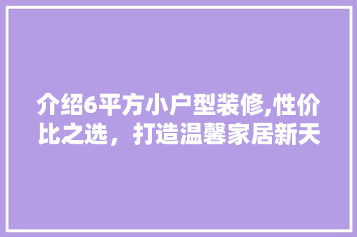 介绍6平方小户型装修,性价比之选，打造温馨家居新天地 卧室装修