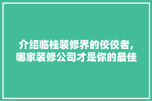 介绍临桂装修界的佼佼者,哪家装修公司才是你的最佳选择