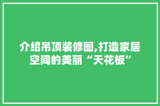 介绍吊顶装修图,打造家居空间的美丽“天花板” 卧室装修