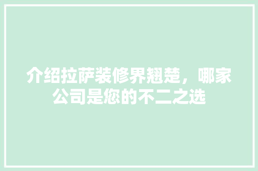 介绍拉萨装修界翘楚，哪家公司是您的不二之选 客厅装修