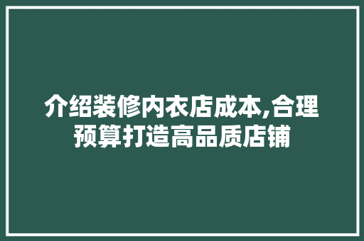 介绍装修内衣店成本,合理预算打造高品质店铺 室内设计