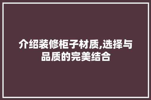 介绍装修柜子材质,选择与品质的完美结合 软装设计