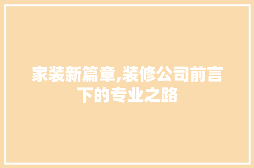 家装新篇章,装修公司前言下的专业之路 软装设计