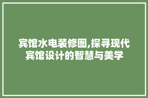 宾馆水电装修图,探寻现代宾馆设计的智慧与美学 木雕艺术